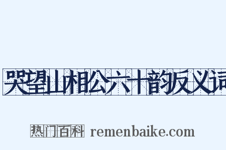 哭望山相公六十韵反义词是什么意思的图片